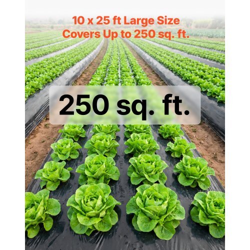 6 Mil Plastic Sheeting 10' x 25' Black Heavy Duty Polyethylene Roll, Thick Plastic Roll for Garden, Drop Cloth Painters Tarp, Polyethylene Covering for Crawl Space Vapor Barrier, Weed Control