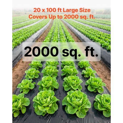 6 Mil Plastic Sheeting 20' x 100' Black Heavy Duty Polyethylene Roll, Thick Plastic Roll for Garden, Drop Cloth Painters Tarp, Polyethylene Covering for Crawl Space Vapor Barrier, Weed Control