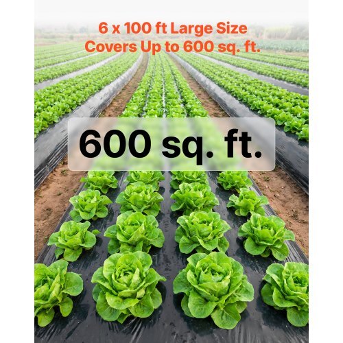 4 Mil Plastic Sheeting 6' x 100' Black Heavy Duty Polyethylene Roll, Thick Plastic Roll for Garden, Drop Cloth Painters Tarp, Polyethylene Covering for Crawl Space Vapor Barrier, Weed Control