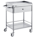 Medical Cart, 2-Layer Stainless Steel Cart 220 lbs Weight Capacity, Lab Utility Cart with 360 Silent Wheels and a Drawer for Lab, Clinic, Kitchen, Salon