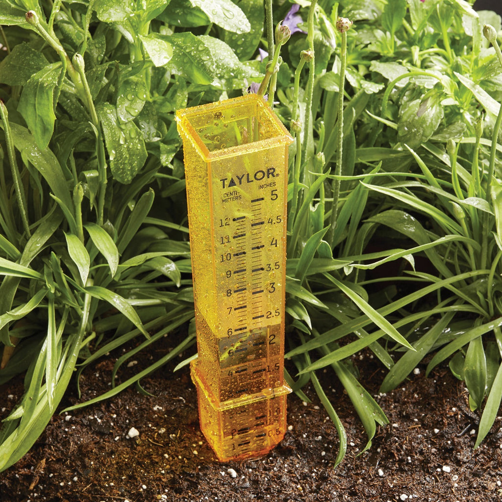 Taylor Precision Products 2715 2-in-1 Rain and Sprinkler Gauge