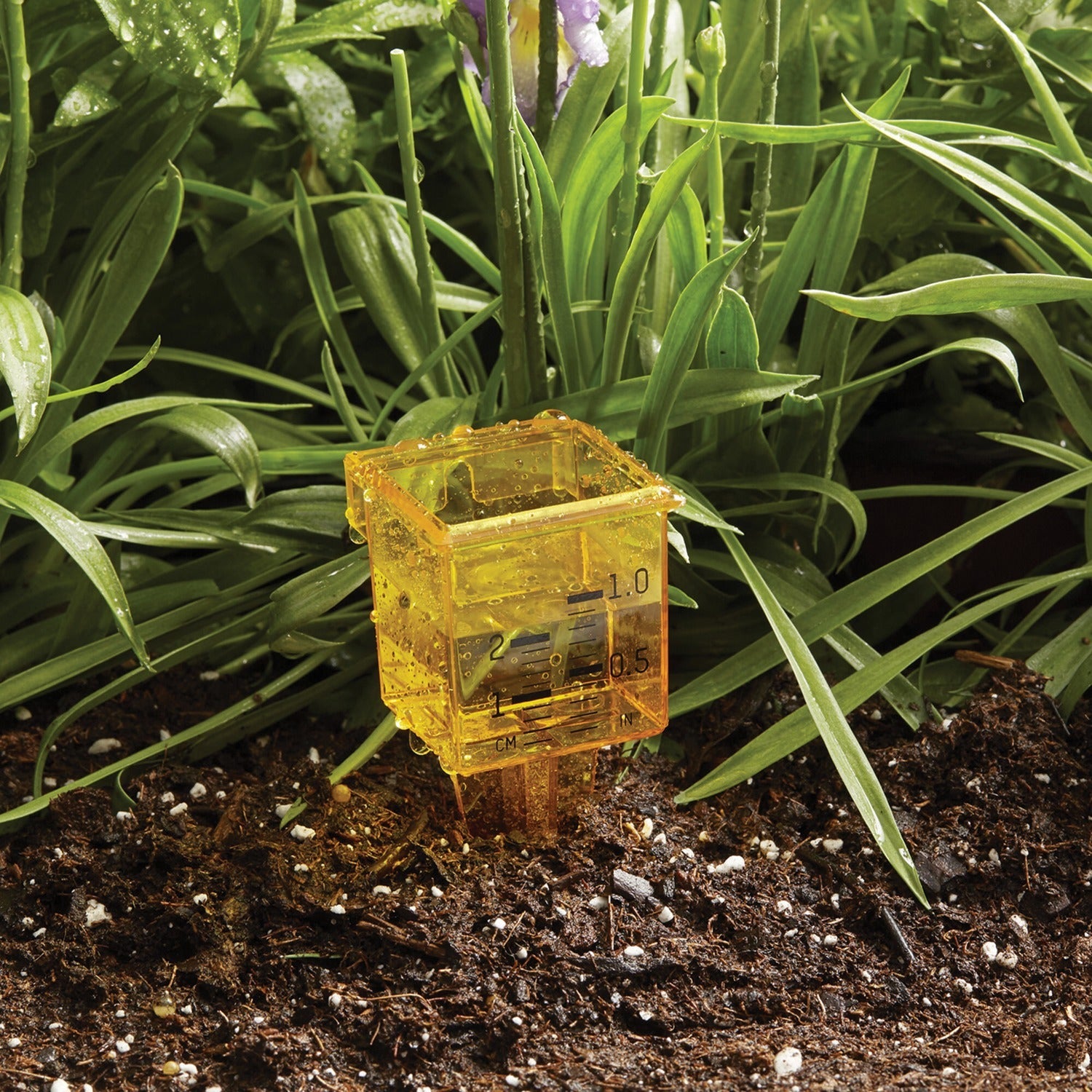 Taylor Precision Products 2715 2-in-1 Rain and Sprinkler Gauge